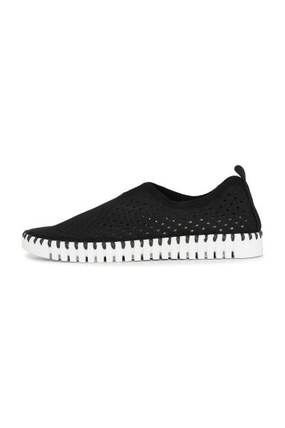Black Classic Tulip Shoes