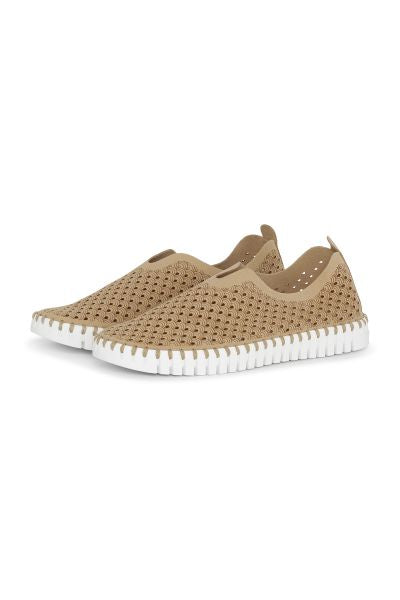Latte Classic Tulip Shoes